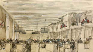 Proc&egrave;s de l'attentat de Nice: la diffusion de la vid&eacute;osurveillance en d&eacute;bat