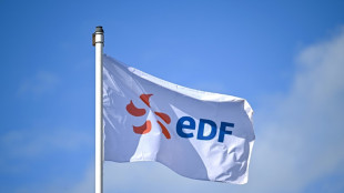 Electricit&eacute;: EDF signe un 1er gros contrat pour des centres de donn&eacute;es en France