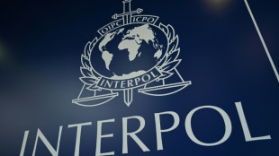 Interpol versch&auml;rft "Aufsichts- und Kontrollma&szlig;nahmen" f&uuml;r Russland