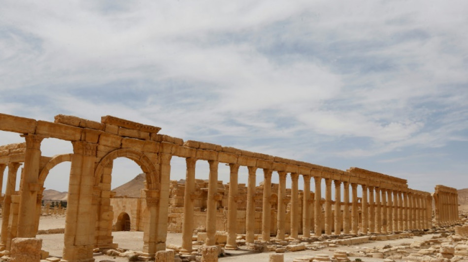 Bombardeio a Palmira pode ter sido 'o mais letal' de Israel contra a S&iacute;ria (ONU)