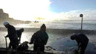 Entsch&auml;digung f&uuml;r Spanien 20 Jahre nach Untergang von "Prestige" r&uuml;ckt n&auml;her