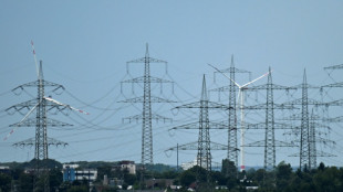 Strompreis: &Uuml;bertragungsnetzbetreiber best&auml;tigen deutliche Absenkung der Netzentgelte