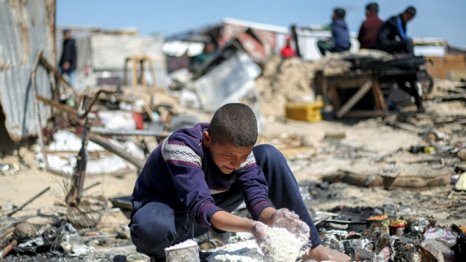 Em uma Gaza afetada pela fome, palestinos recorrem &agrave; carne de tartaruga