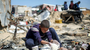 Em uma Gaza afetada pela fome, palestinos recorrem &agrave; carne de tartaruga