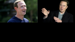 Eventual luta entre Musk e Zuckerberg ser&aacute; transmitido pelo X, antigo Twitter