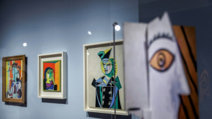 Un museo de Hong Kong pone a Picasso en di&aacute;logo con el arte asi&aacute;tico