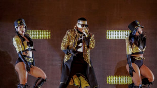 Redoblan seguridad en conciertos de Daddy Yankee en Chile tras des&oacute;rdenes