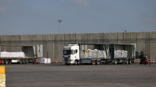 Israele accusa l'Onu,'oltre 400 camion in attesa a Kerem Shalom'