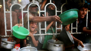 Un h&ocirc;pital de Gaza dit que 21 enfants sont morts de malnutrition ou de faim