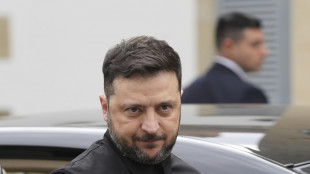 Zelensky, 'Mosca vuole danneggiare le nostre centrali nucleari'