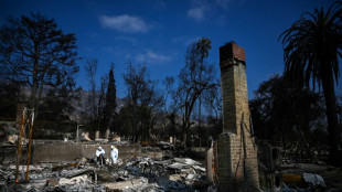 Remains of 30th victim of Los Angeles fires found