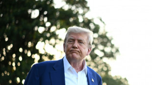 El gobierno de Trump abrir&aacute; bosques v&iacute;rgenes a la tala