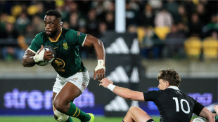 Plus grosse défaite de leur histoire pour les All Blacks, humiliés à domicile par l'Afrique du Sud