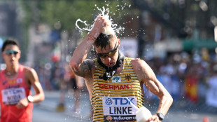 Wieder keine WM-Medaille: Linke F&uuml;nfter &uuml;ber 35 km Gehen
