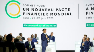 Finance pour le climat: le sommet de Paris s'ach&egrave;ve sur des petits pas