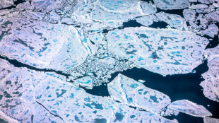 Auch für Eisbären wichtig: Presseisrücken in Arktis wegen Klimawandels auf Rückzug