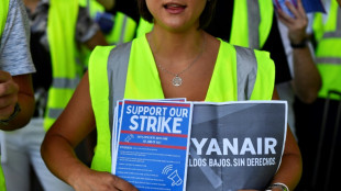 Ryanair-Streik in Spanien bis Januar verl&auml;ngert
