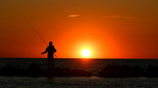Forscher entdecken elftausend Jahre alte Mauer vor K&uuml;ste Mecklenburg-Vorpommerns