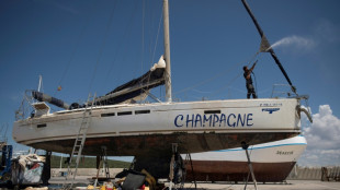 Revuelta de orcas, terror de veleros en aguas espa&ntilde;olas  