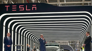 Tesla &uuml;bergibt in Gr&uuml;nheide die ersten Autos "made in Germany"