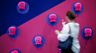 Octopus, rendere gratuita in Italia l'energia rinnovabile in eccesso