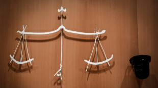 Poupées à caractère pédopornographique achetées en ligne: deux suspects jugés en 2026