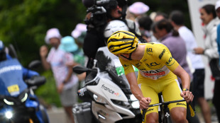 Tour: lancia patatine contro Pogacar in gara, sar&agrave; denunciato