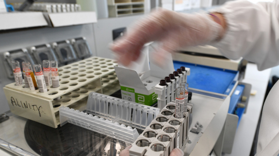 C'&egrave; un legame tra microbioma e tumori, trovate firme di 341 batteri