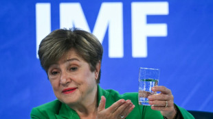 EEUU plante&oacute; temas "importantes", dice Georgieva sobre cr&iacute;ticas al FMI