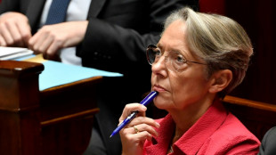 Motions de censure: Elisabeth Borne d&eacute;nonce des "outrances", le RN joint ses voix &agrave; la Nupes