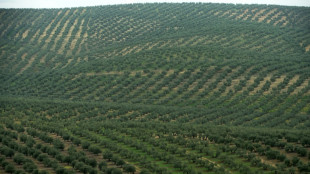 Environ 15% des terres cultivables dans le monde sont contamin&eacute;es aux m&eacute;taux lourds (&eacute;tude)