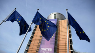 França pede a União Europeia que adie trâmite de acordo com Mercosul