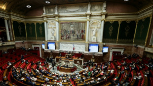 Budget: les d&eacute;put&eacute;s &eacute;cartent le gel du bar&egrave;me de l'imp&ocirc;t sur le revenu