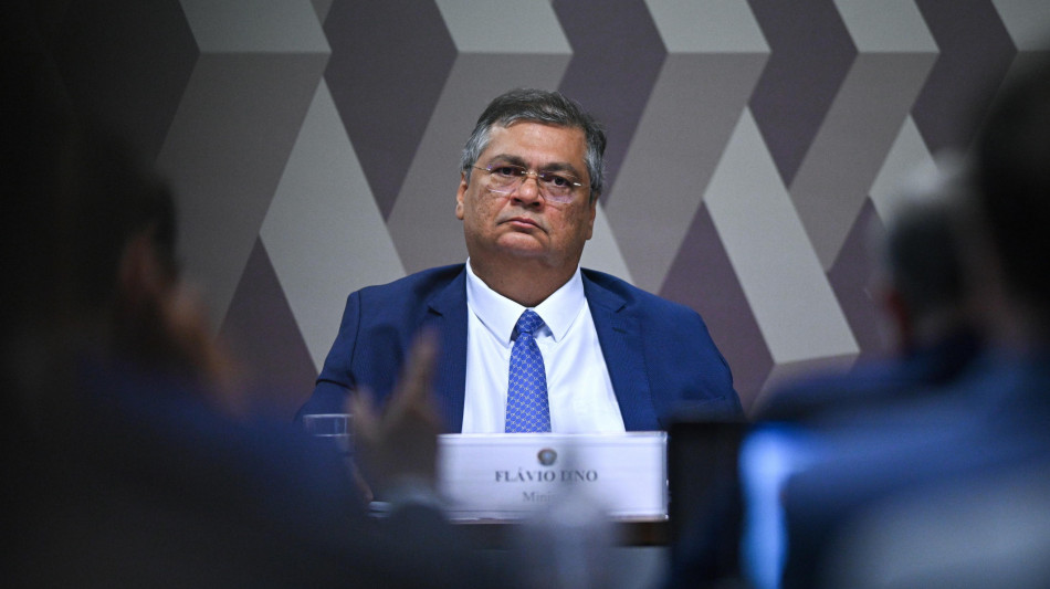 Corte Suprema, 'in Brasile &egrave; pandemia di incendi boschivi'