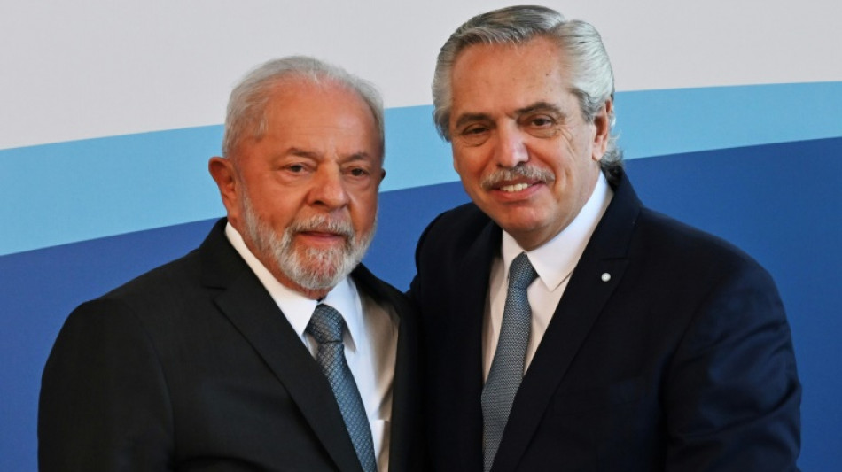 Argentina e Brasil confrontam exig&ecirc;ncias ambientais da UE em c&uacute;pula do Mercosul