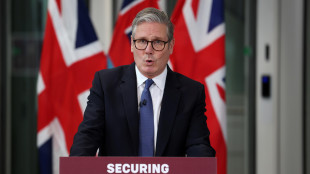 Gb sar&agrave; risparmiata dai dazi Usa al 50%, restano al 25%