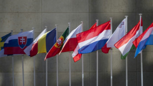 Zone euro: croissance quasiment nulle de l'activit&eacute; &eacute;conomique en avril (PMI Flash)