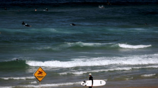 Sydney unter Schock: Surfer von "gro&szlig;em Hai" attackiert und get&ouml;tet