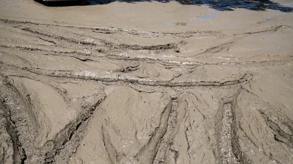 Bei, per italiani sfida clima al top priorit&agrave; dopo carovita