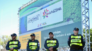 Sommet sud-am&eacute;ricain autour de Lula pour sauver l'Amazonie