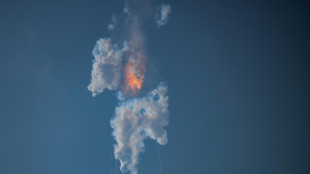 Starship-Riesenrakete wurde von SpaceX bei Testflug zerst&ouml;rt