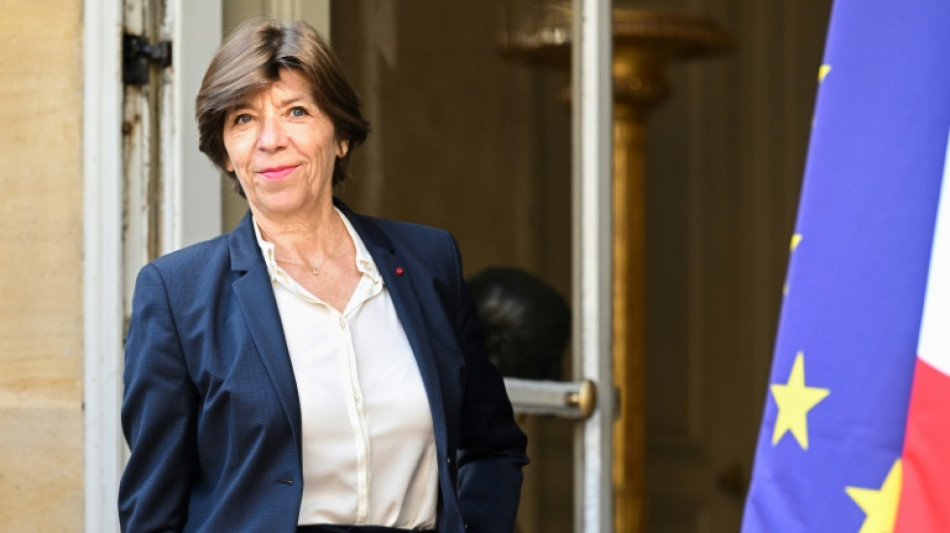 La France veut rester un "partenaire pertinent" en Afrique malgr&eacute; les "discours anti-fran&ccedil;ais"