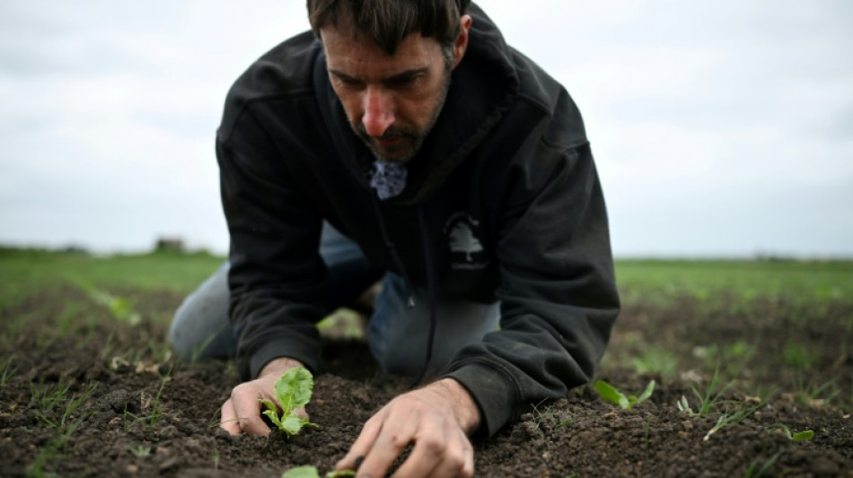 Chaleur, sécheresse: le printemps 2025 bat des records au Royaume-Uni