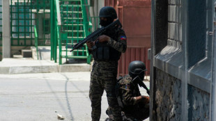 Conselho presidencial do Haiti &eacute; criado oficialmente (decreto)