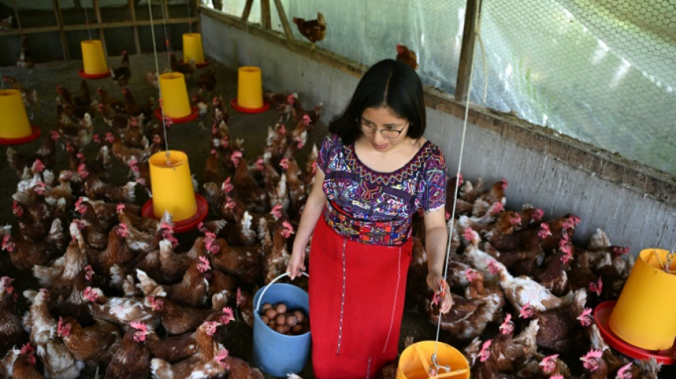 Au Guatemala, l'agriculture comme alternative &agrave; l'exode migratoire