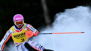 Slalom in Alta Badia: Stra&szlig;er scheidet wieder aus