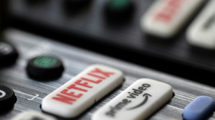 Netflix contesta ante la justicia francesa las estrictas reglas de difusi&oacute;n de obras audiovisuales