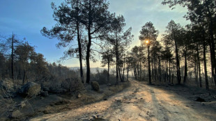 Espanha e Fran&ccedil;a enfrentam dias cruciais para conter inc&ecirc;ndios antes de nova onda de calor