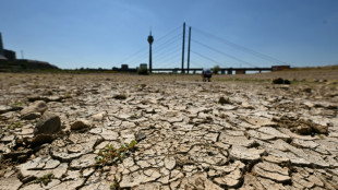 Germany's dry rivers spark battle on engineering vs restoration