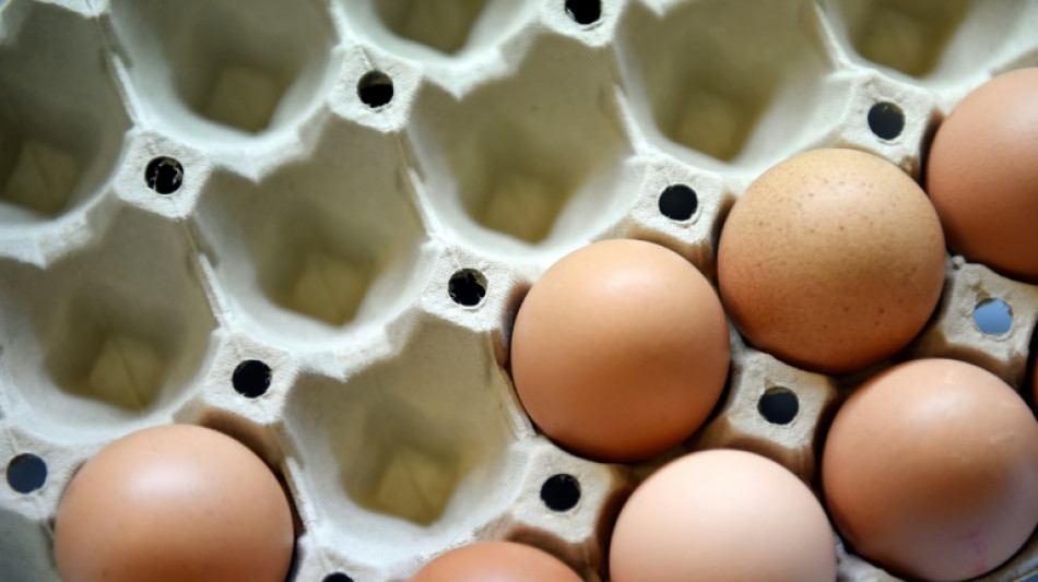 Ile-de-France: seule l'agglom&eacute;ration parisienne reste concern&eacute;e par la recommandation d'&eacute;viter les oeufs des poulaillers domestiques